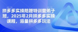 
拼多多实操陪跑特训营弟子班，2025年2月拼多多实操课程，海量拼多多玩法
-副业站
-第1
张图片