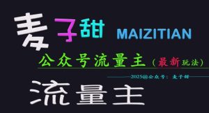 
麦子甜2025公众号流量主全网最新玩法核心，手把手教学，成熟稳定，收益有保障
-副业站
-第1
张图片
